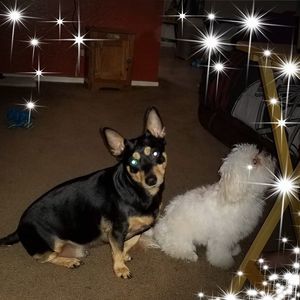 Meet your Posher, Cheryl